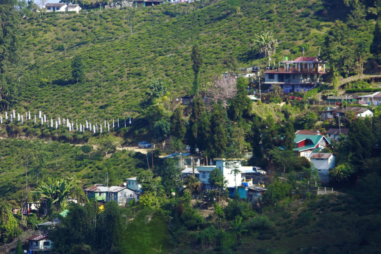 Spectacular view from the room: expansive landscape with mountains, lush greenery, and a tranquil atmosphere, creating a serene and inviting ambiance of our Best Homestays in Darjeeling.