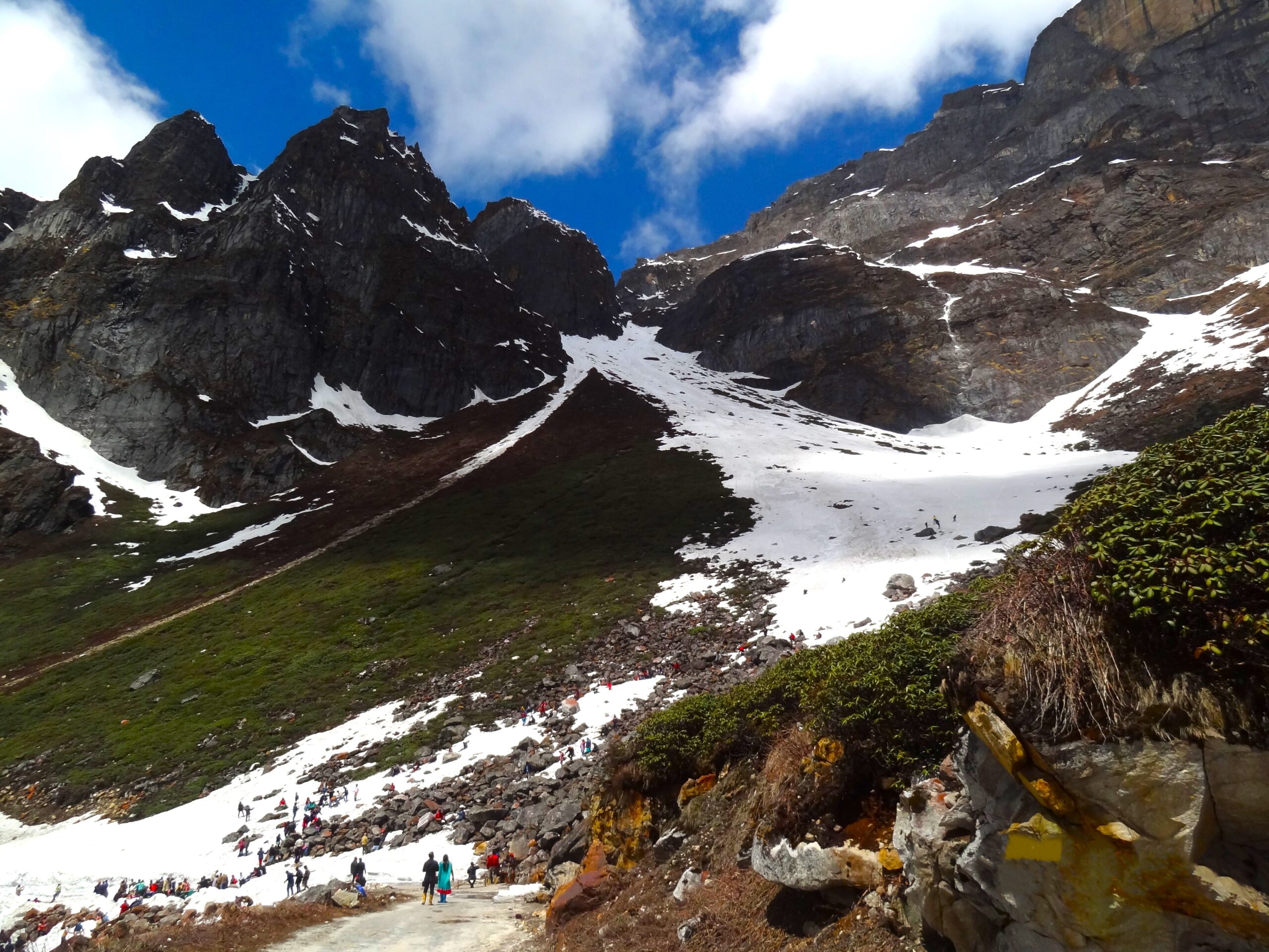 "Breathtaking Yumthang Valley immersed in ice, ideal for travel groups or solo travelers seeking a serene and enchanting Himalayan experience."