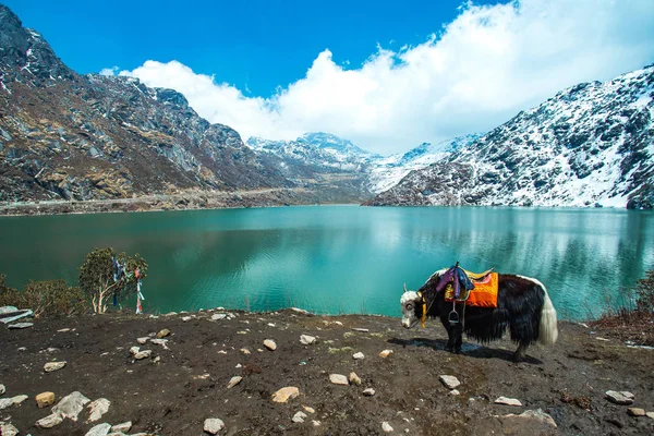 Explore the enchanting landscapes of Sikkim on our solo and group trips. Immerse yourself in the vibrant culture and breathtaking scenery of this Himalayan jewel