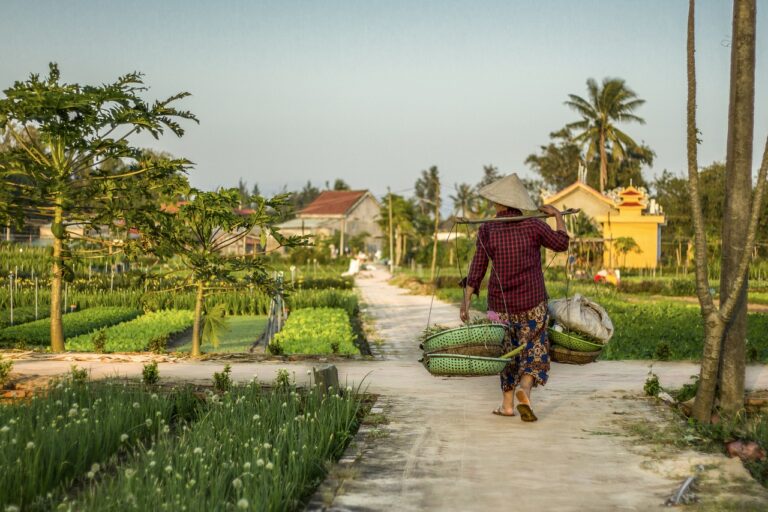 hoi an, farm, farmer-5494203.jpg