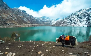 Explore the enchanting landscapes of Sikkim on our solo and group trips. Immerse yourself in the vibrant culture and breathtaking scenery of this Himalayan jewel